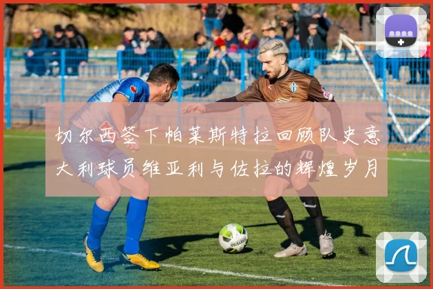 切尔西签下帕莱斯特拉回顾队史意大利球员维亚利与佐拉的辉煌岁月